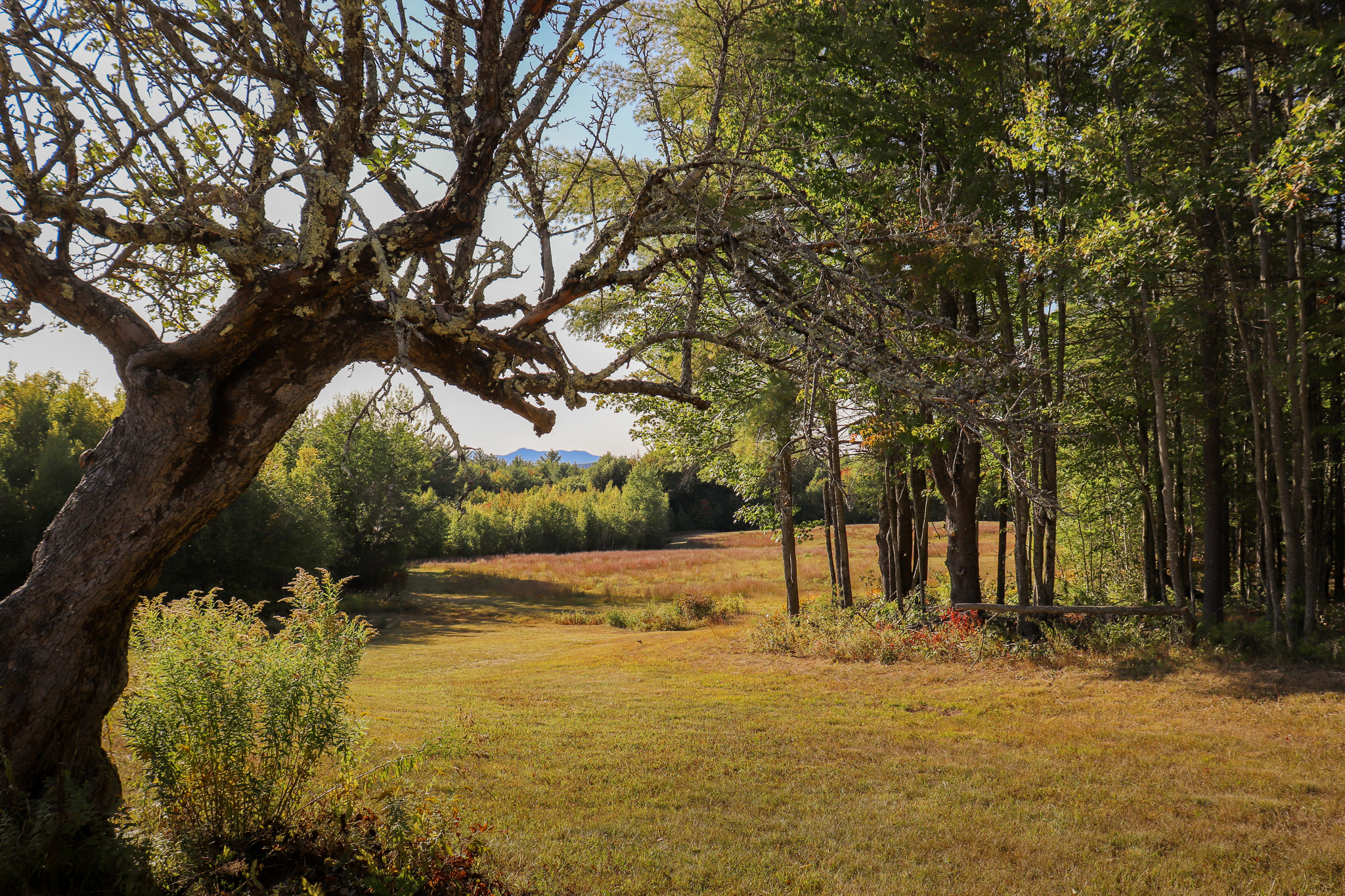 Old Blake Farm courtesy of Meghan Moody